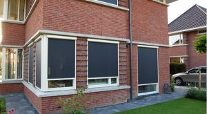 BIOnyx RVS reiniger screens